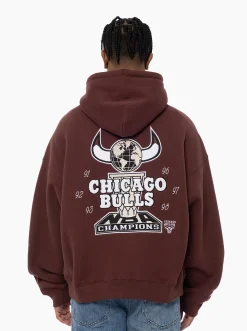 Mitchell & Ness Hoodies & Crews-Chicago Bulls Patina World Champions Hoodie