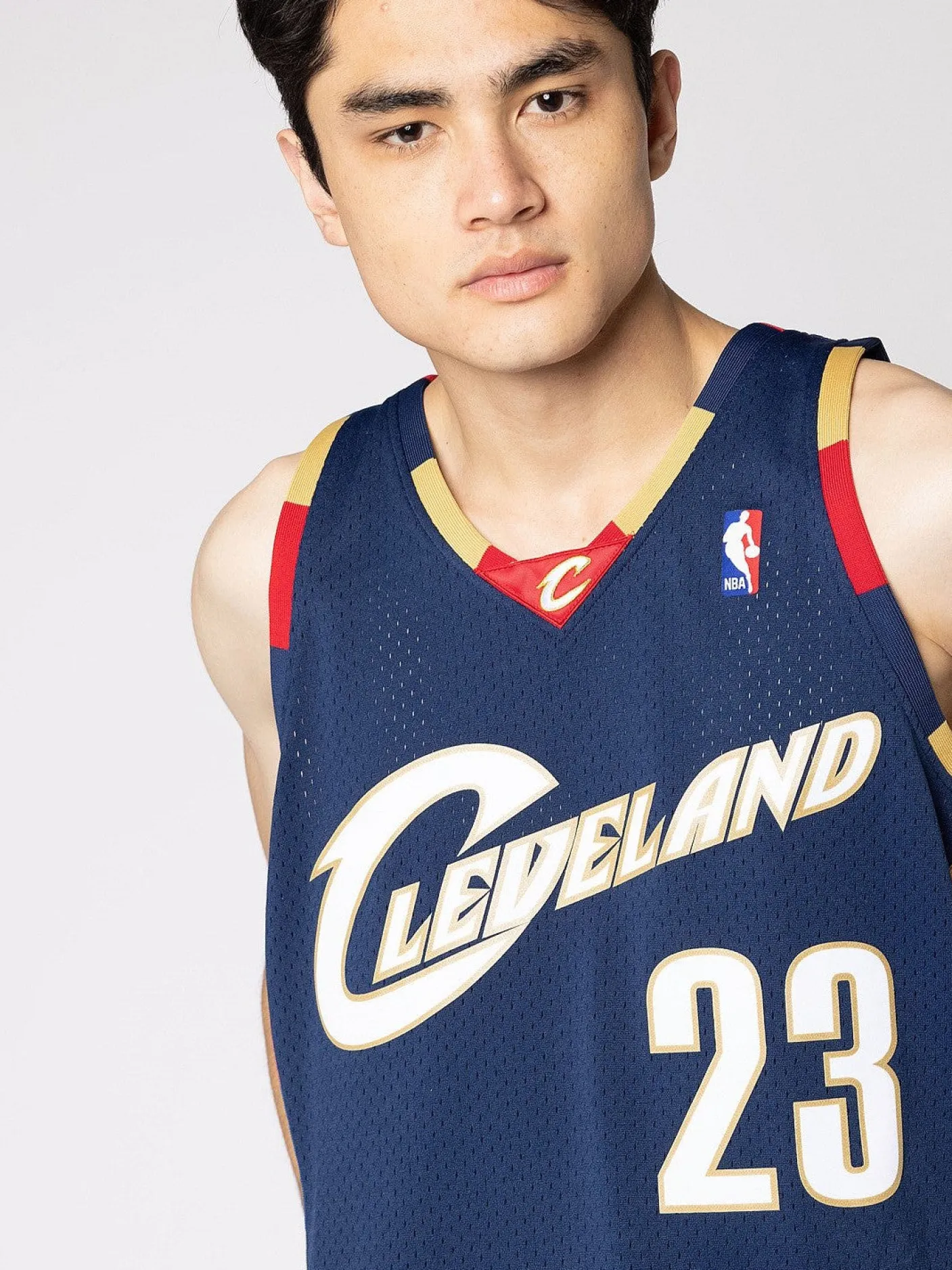 Mitchell & Ness Nba Jerseys-Cleveland Cavaliers Alternate 08-09 Lebron James Swingman Jersey