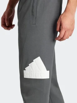 adidas Sportswear Pants & Sweats-Future Icons Badge of Sport Pants