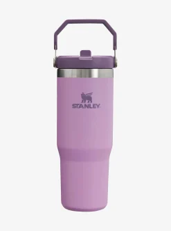 Stanley Water Bottles-IceFlow Flip Straw 30oz