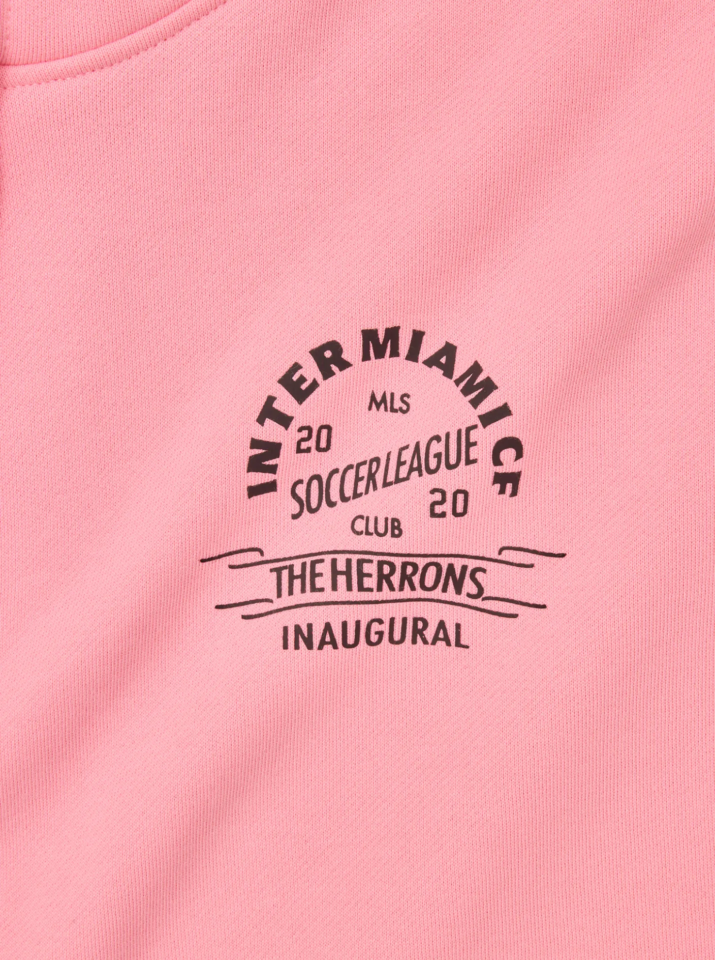 Mitchell & Ness Hoodies & Crews-Inaugural Year Hoodie