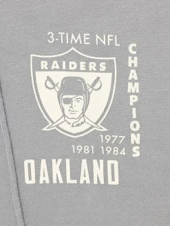 Mitchell & Ness Hoodies & Crews-Oakland Raiders Champions Hoodie