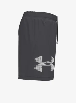Under Armour Performance|Shorts-Tech Woven Graphic Shorts