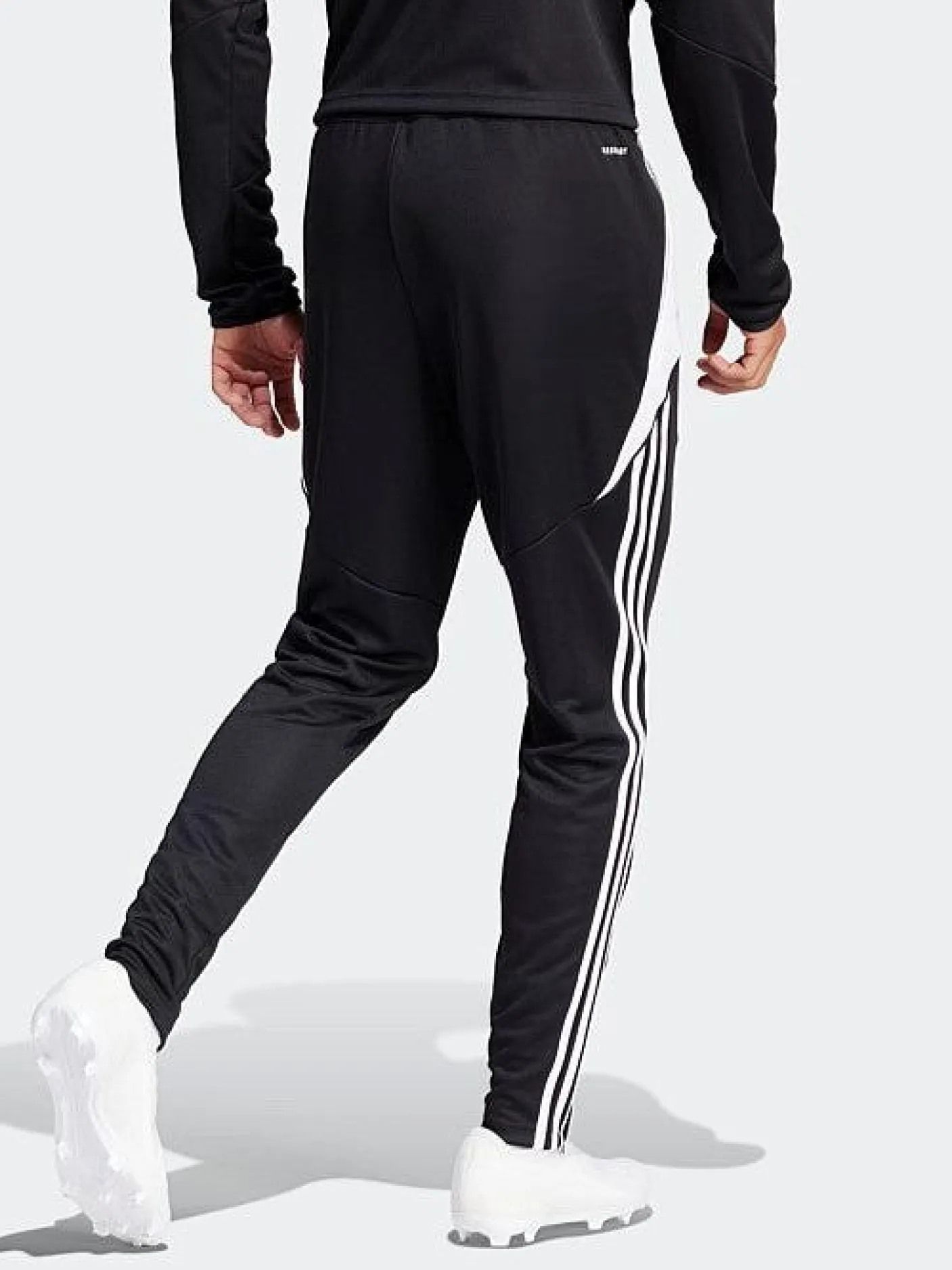 adidas Performance|Pants & Sweats-Tiro24 Training Pants